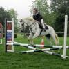 Hickstead 2013 (21)