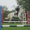Hickstead 2013 (22)