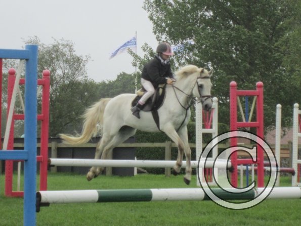 Hickstead 2013 (22)
