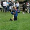 Hickstead 2013 (31)