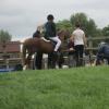 Hickstead 2013 (32)