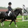 Hickstead 2013 (4)