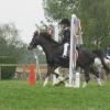 Hickstead 2013 (5)
