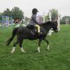 Hickstead 2013 (6)