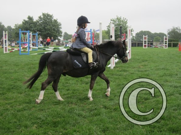 Hickstead 2013 (6)