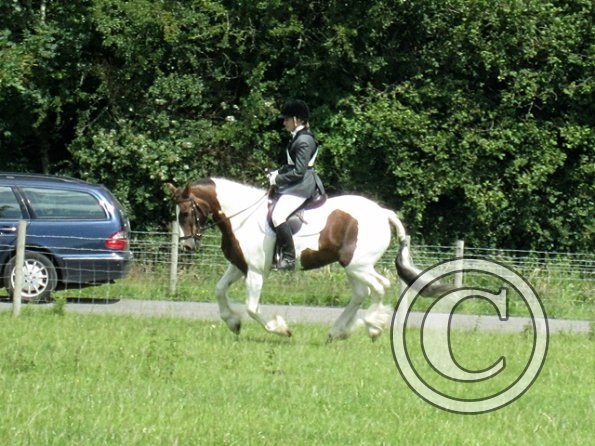 Lance dressage (3)