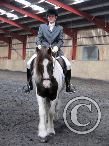 Plumptong dressage warmup (3)