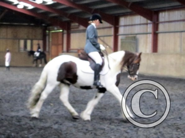 Plumptong dressage warmup (5)