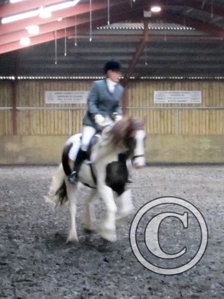 Plumptong dressage warmup (7)