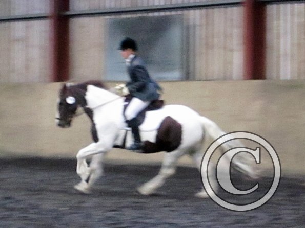 Plumptong dressage warmup (8)