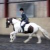 Lance dressage