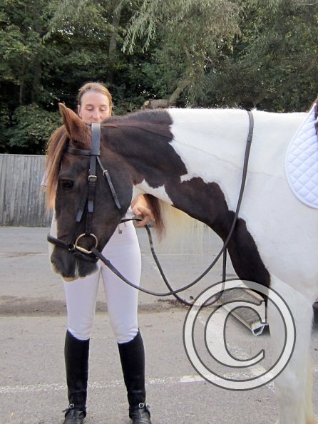 Plumptong dressage warmup
