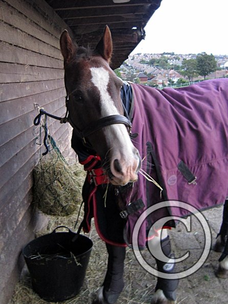 On the yard waiting to leave (3)