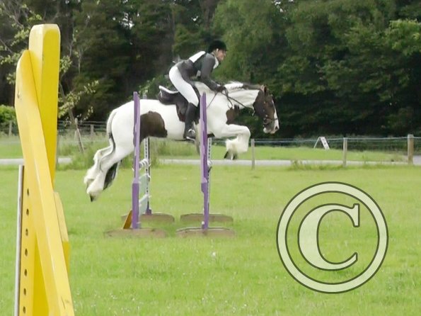 06-23-2013_085011(7)