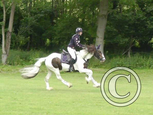 06-23-2013_093718(1)