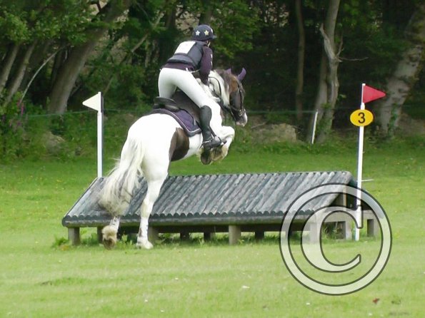 06-23-2013_093718(2)