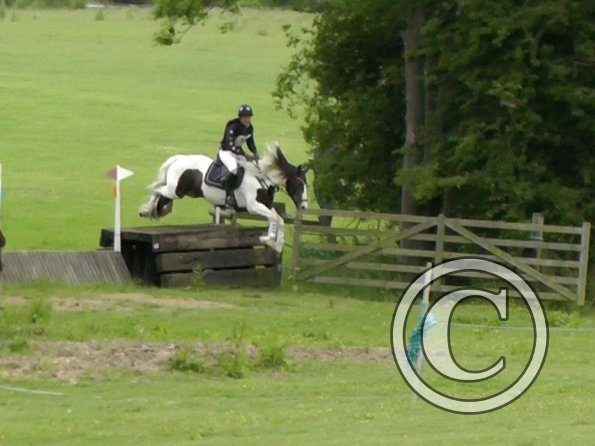 06-23-2013_094241(1)