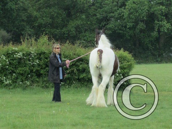 Lucy plaited posing (10)