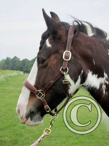 Lucy plaited posing (9)