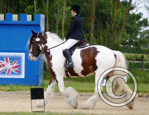 lucydressage6