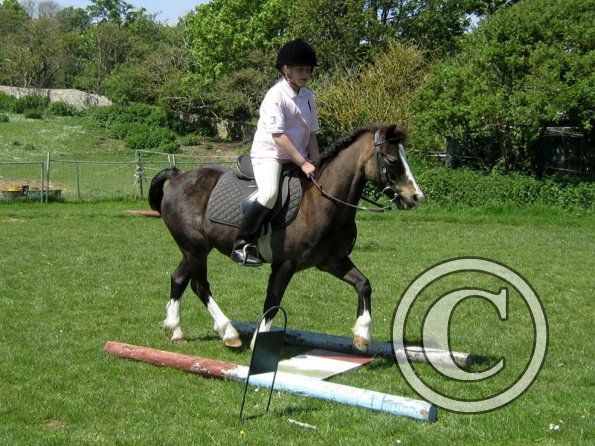 Horse Agility (12)