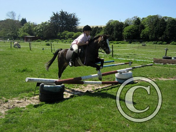 Horse Agility (13)