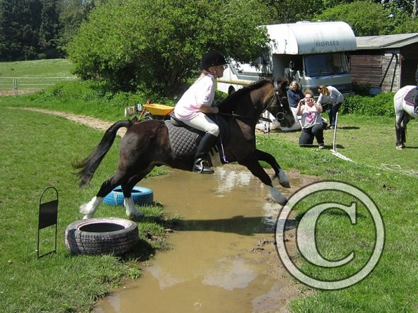 Horse Agility (14)