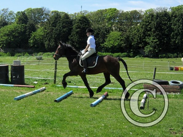 Horse Agility (18)