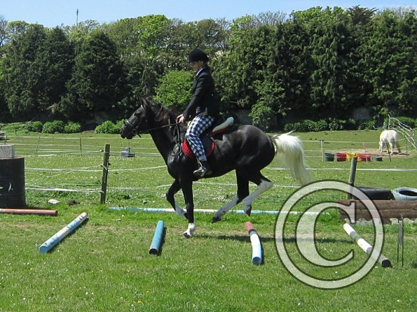 Horse Agility (4)