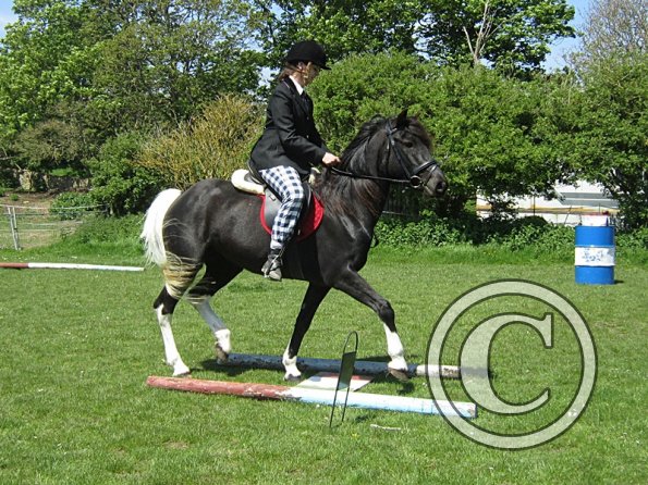 Horse Agility (6)