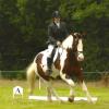 2007 Dressage Lucy and Anna