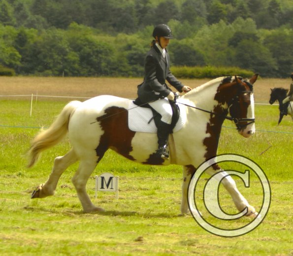 2007 Lucy and Anna Dressage