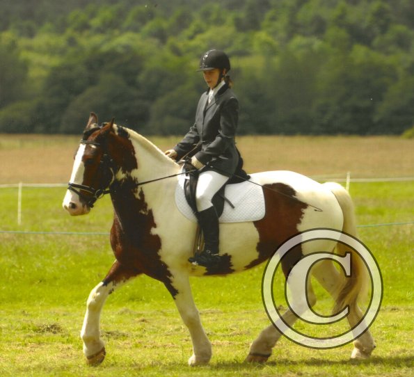 First tries at dressage