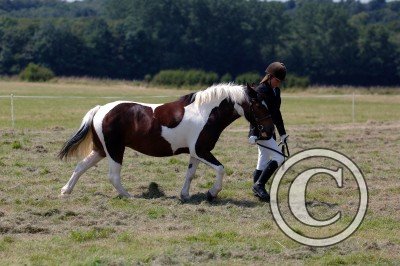 Georgina &amp; Lizzy