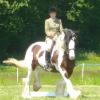 Dressage canter