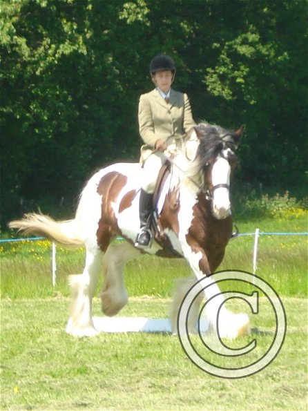 Dressage canter