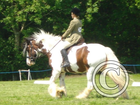 Free walk on a long rein