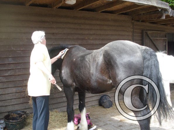 Debbie grooming Solly