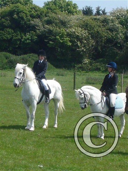 Freddy and Freya mountain and moorland 2