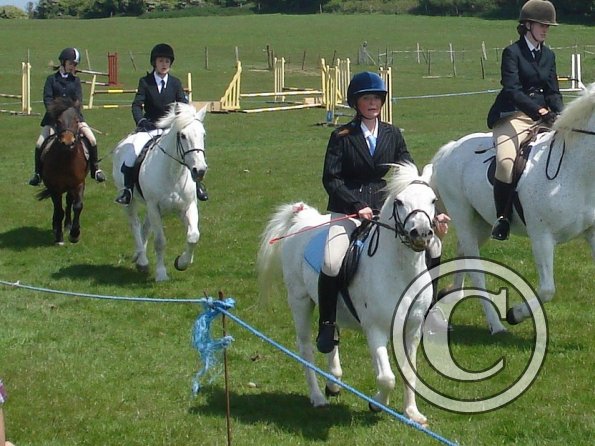 Freddy and Freya mountain and moorland