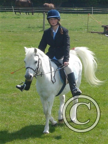 Freddy mountain and moorland