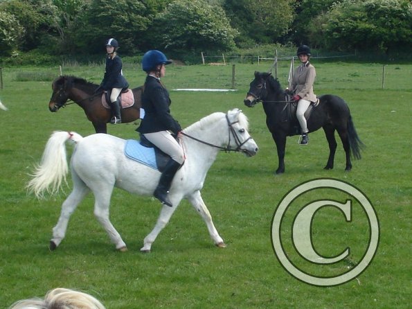 Freddy mountani and moorland 2