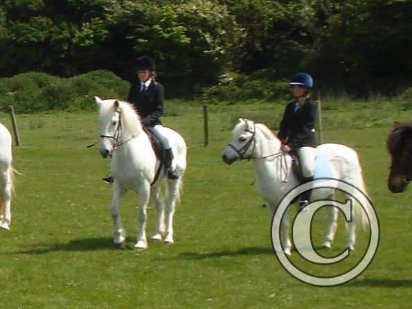 Freya and Freddy mountain and moorland