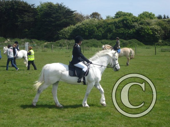 Freya mountain and moorland 2