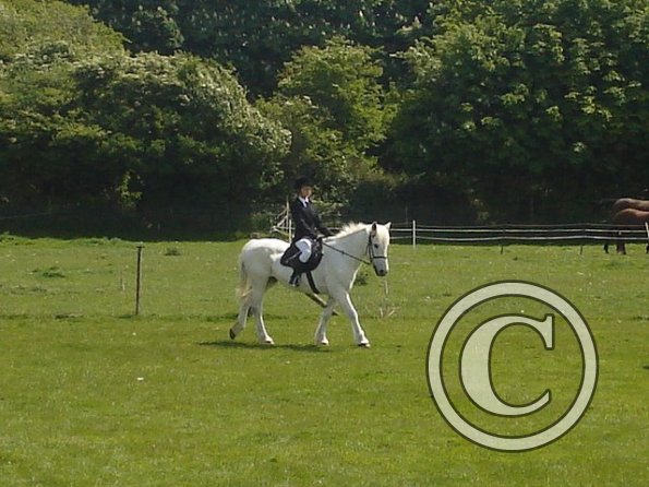 Freya mountain and moorland