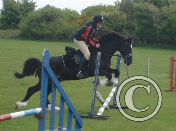 Scarlett and Solomon 2