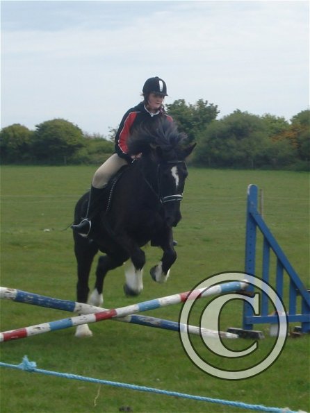 Scarlett and Solomon 4