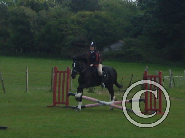 Scarlett and Solomon 5