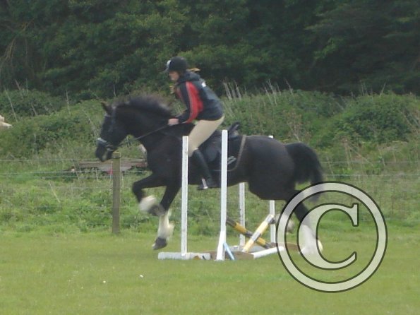 Scarlett and Solomon 6