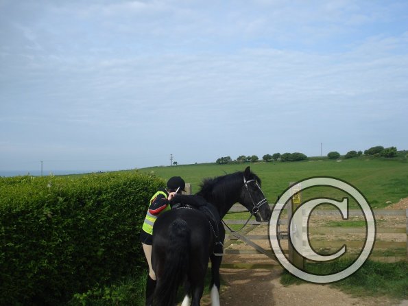 Scarlet holding the gate